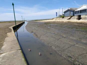 Lanton Taussat Désensablement du vieux port (22).jpg