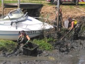 Biganos - Extraction Jussie (5).jpg Biganos - Extraction Jussie (5).jpg