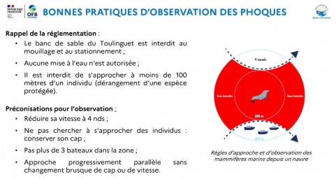 Bonnes pratiques observation des phoques.JPG
