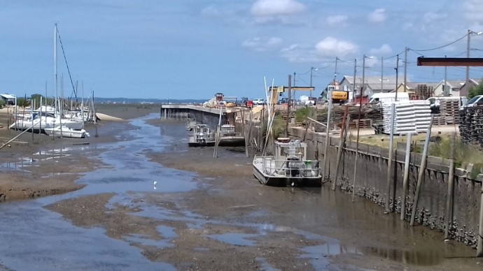 31-7-2018-2.jpg 31-7-2018-2.jpg