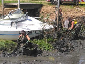 Biganos - Extraction Jussie (5).jpg Biganos - Extraction Jussie (5).jpg