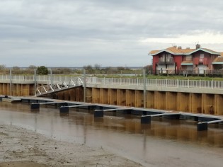 Gujan Gujan Sécurisation Ostréa Edulis (112).jpg Gujan Gujan Sécurisation Ostréa Edulis (112).jpg