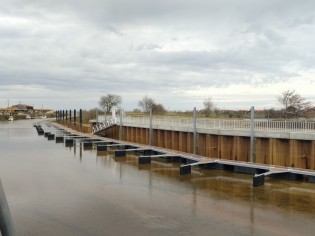 Gujan Gujan Sécurisation Ostréa Edulis (116).jpg Gujan Gujan Sécurisation Ostréa Edulis (116).jpg