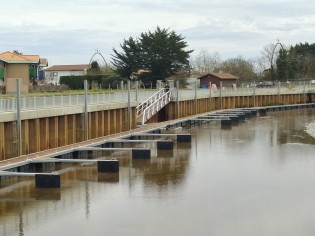 Gujan Gujan Sécurisation Ostréa Edulis (121).jpg Gujan Gujan Sécurisation Ostréa Edulis (121).jpg