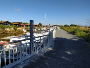 Gujan Gujan Sécurisation Ostréa Edulis (129).jpg Gujan Gujan Sécurisation Ostréa Edulis (129).jpg