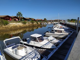 Gujan Gujan Sécurisation Ostréa Edulis (130).jpg Gujan Gujan Sécurisation Ostréa Edulis (130).jpg