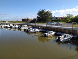 Gujan Gujan Sécurisation Ostréa Edulis (137).jpg Gujan Gujan Sécurisation Ostréa Edulis (137).jpg