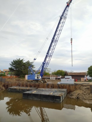 Gujan Gujan Sécurisation Ostréa Edulis (16).jpg Gujan Gujan Sécurisation Ostréa Edulis (16).jpg