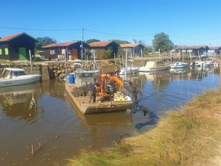 Gujan Gujan Sécurisation Ostréa Edulis (4).jpg Gujan Gujan Sécurisation Ostréa Edulis (4).jpg