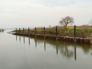 Gujan Gujan Sécurisation Ostréa Edulis (83).jpg Gujan Gujan Sécurisation Ostréa Edulis (83).jpg