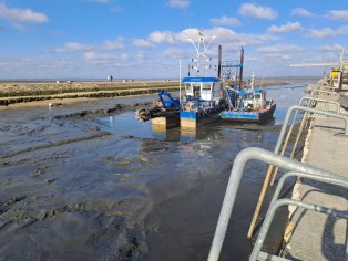 Gujan Larros Dragage (7).jpg Gujan Larros Dragage (7).jpg