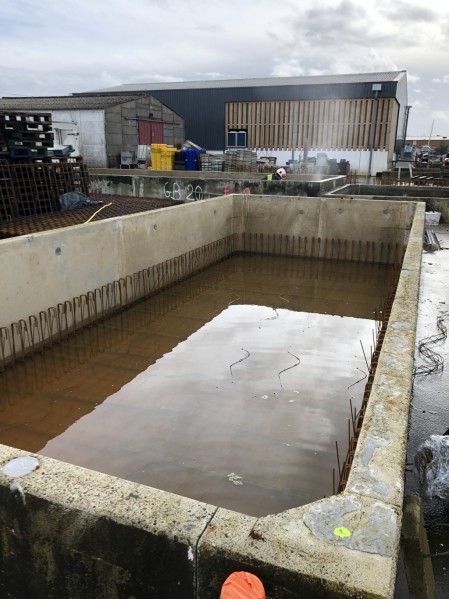 IMG_0907.JPG IMG_0907.JPG