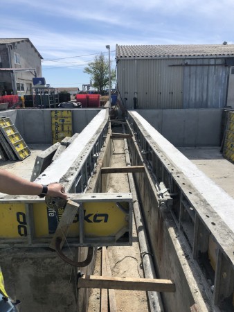 IMG_1556.jpg IMG_1556.jpg