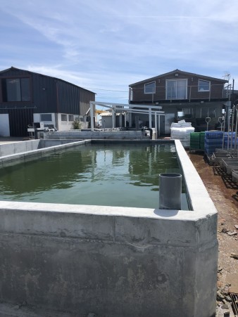 IMG_1559.jpg IMG_1559.jpg