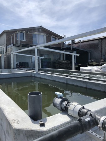 IMG_1562.jpg IMG_1562.jpg