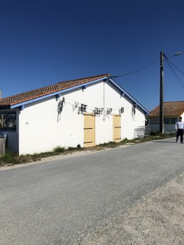 IMG_1915-min.JPG IMG_1915-min.JPG