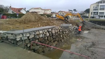 IMG_20190219_103950.jpg IMG_20190219_103950.jpg