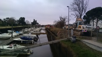 IMG_20190219_111431.jpg IMG_20190219_111431.jpg