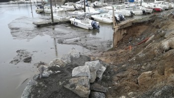 IMG_20190306_134600.jpg IMG_20190306_134600.jpg