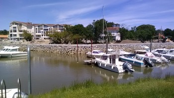 IMG_20190515_140239.jpg IMG_20190515_140239.jpg