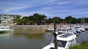 IMG_20190515_140255.jpg IMG_20190515_140255.jpg