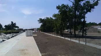 IMG_20190704_144459.jpg IMG_20190704_144459.jpg