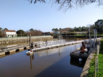 IMG_20210224_133839.jpg IMG_20210224_133839.jpg