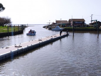 IMG_20210224_140023.jpg IMG_20210224_140023.jpg