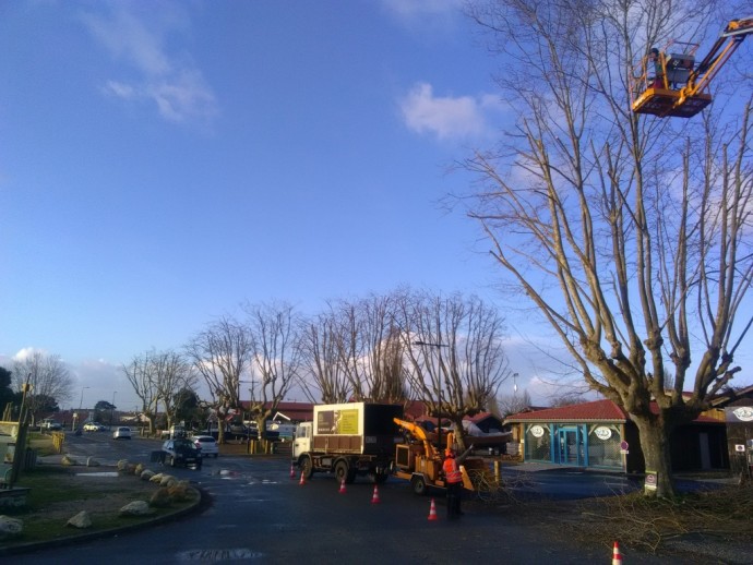 La teste.jpg La teste.jpg