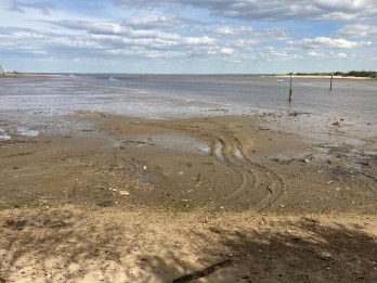 La Teste Lapin Blanc Nettoyage pland'eau (28).jpg La Teste Lapin Blanc Nettoyage pland'eau (28).jpg