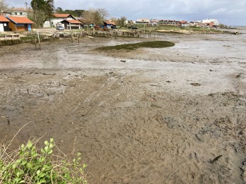 La Teste Lapin Blanc Nettoyage pland'eau (29).jpg La Teste Lapin Blanc Nettoyage pland'eau (29).jpg