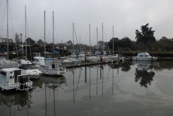 SAM_2651.jpg SAM_2651.jpg